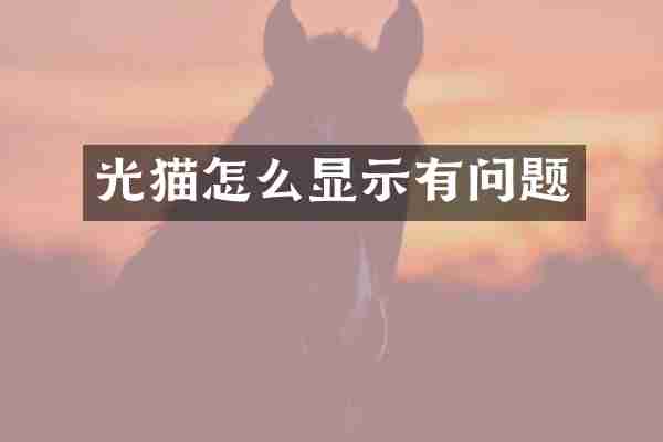 光猫怎么显示有问题