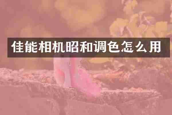 佳能相机昭和调色怎么用