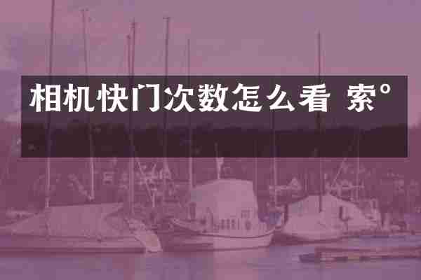 相机快门次数怎么看 