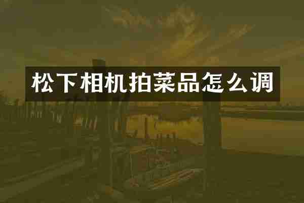 松下相机拍菜品怎么调