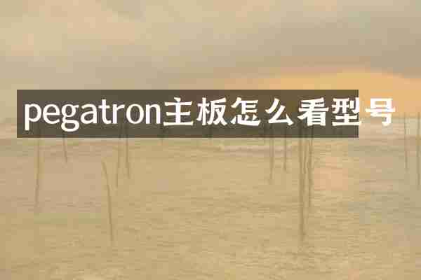 pegatron主板怎么看型号
