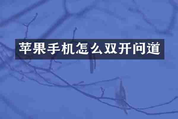 苹果手机怎么双开问道