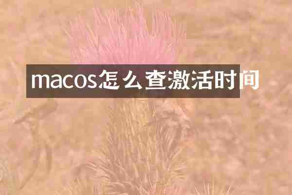 macos怎么查激活时间