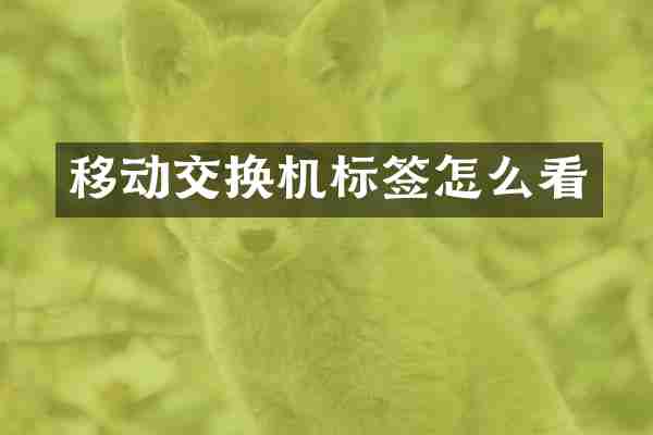 移动交换机标签怎么看