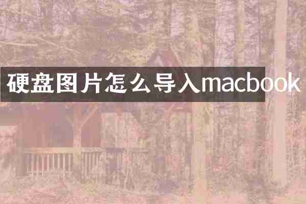 硬盘图片怎么导入macbook