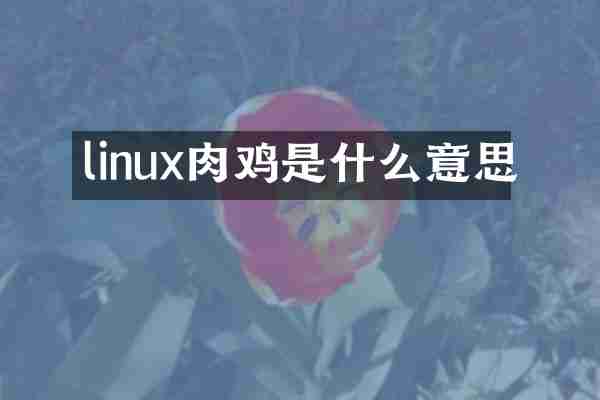 linux肉鸡是什么意思