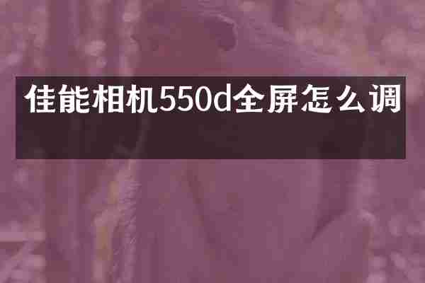 佳能相机550d全屏怎么调整