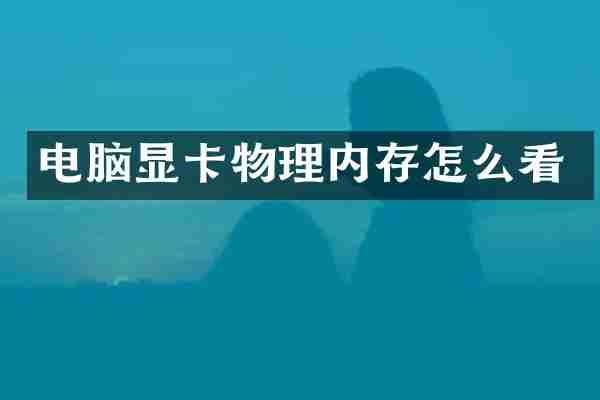 电脑显卡物理内存怎么看