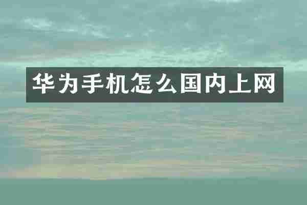 华为手机怎么国内上网