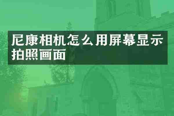 尼康相机怎么用屏幕显示拍照画面