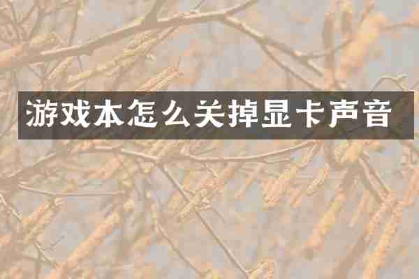 游戏本怎么关掉显卡声音