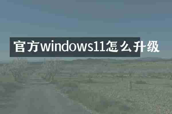 官方windows11怎么升级