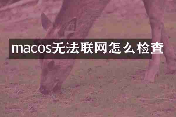macos无法联网怎么检查