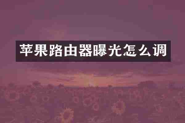 苹果路由器曝光怎么调