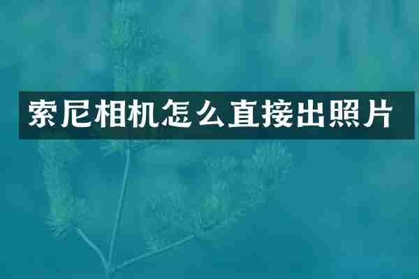 索尼相机怎么直接出照片