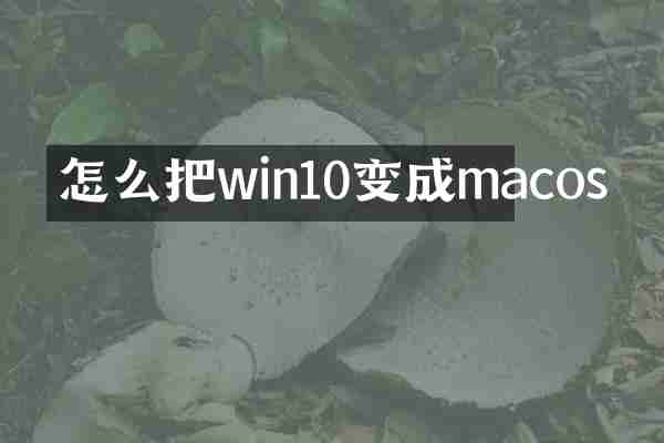 怎么把win10变成macos