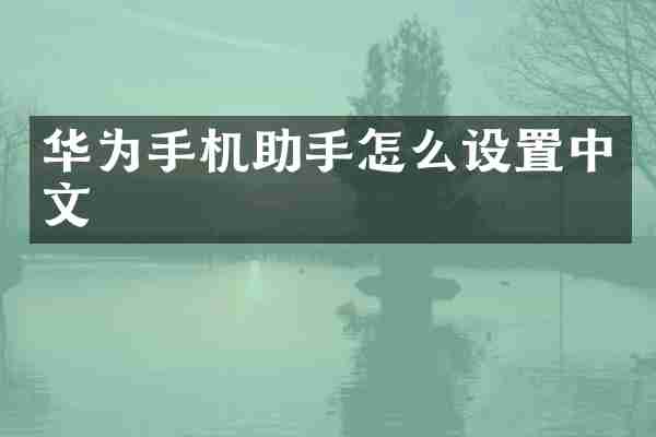 华为手机助手怎么设置中文