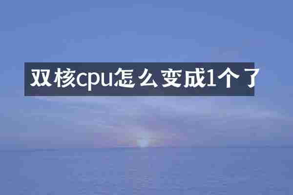 双核cpu怎么变成1个了