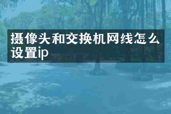 摄像头和交换机网线怎么设置ip