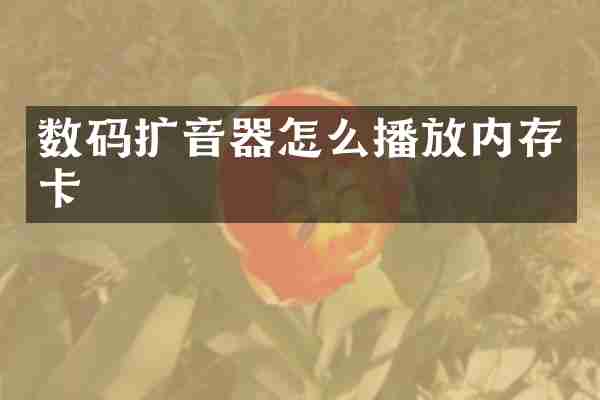 数码扩音器怎么播放内存卡