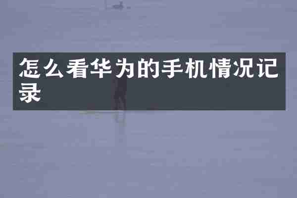 怎么看华为的手机情况记录
