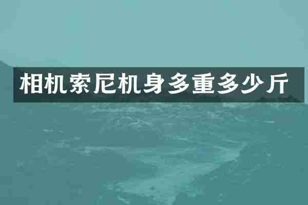 相机索尼机身多重多少斤