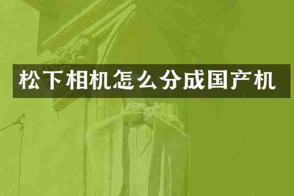 松下相机怎么分成国产机