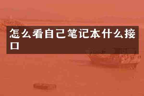 怎么看自己笔记本什么接口