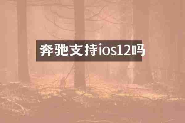 奔驰支持ios12吗