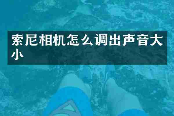 索尼相机怎么调出声音大小