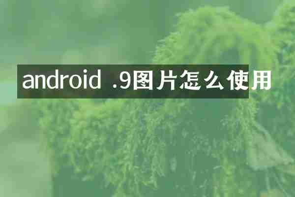 android .9图片怎么使用