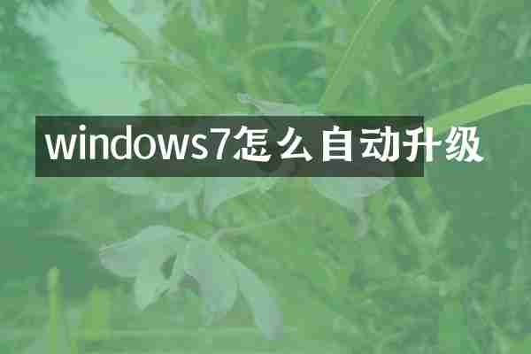windows7怎么自动升级