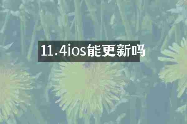 11.4ios能更新吗