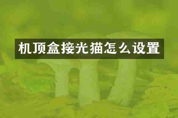 机顶盒接光猫怎么设置