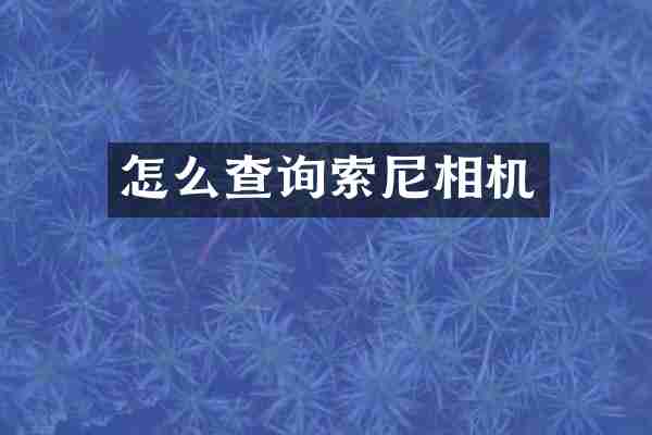 怎么查询相机