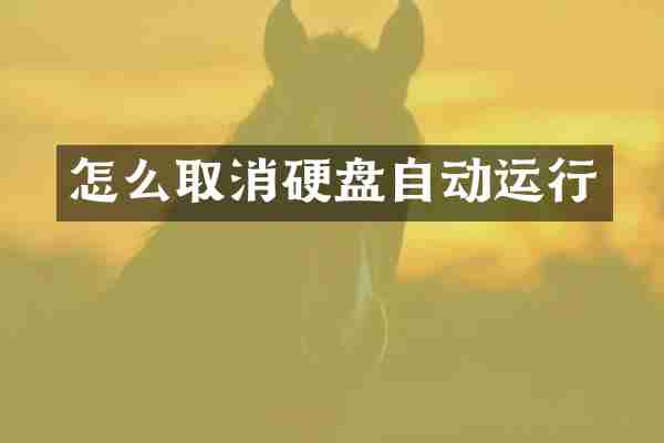 怎么取消硬盘自动运行