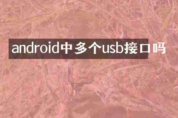 android中多个usb接口吗