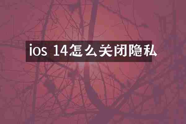 ios 14怎么关闭隐私