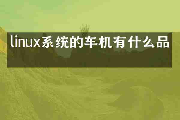linux系统的车机有什么品牌