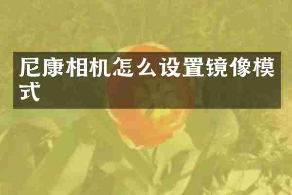 尼康相机怎么设置镜像模式
