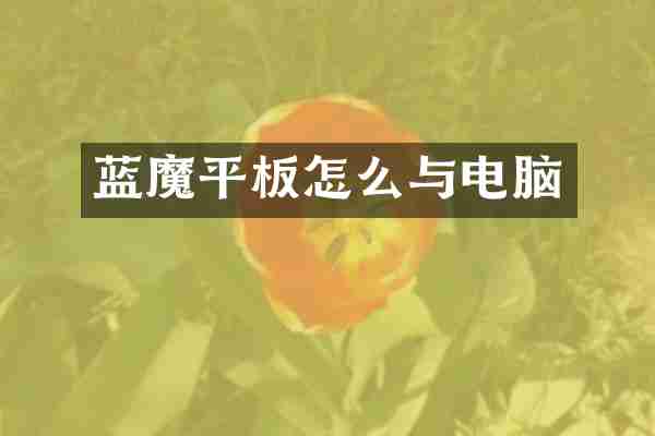 蓝魔平板怎么与电脑