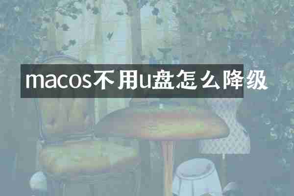macos不用u盘怎么降级