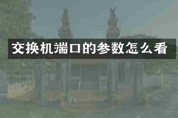 交换机端口的参数怎么看
