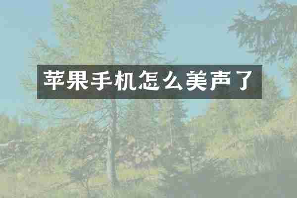 苹果手机怎么美声了