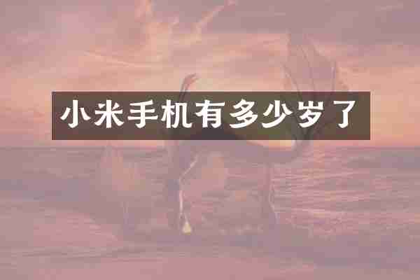 小米手机有多少岁了