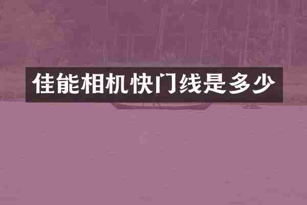 佳能相机快门线是多少