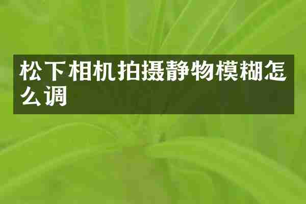 松下相机拍摄静物模糊怎么调