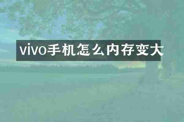 vivo手机怎么内存变大