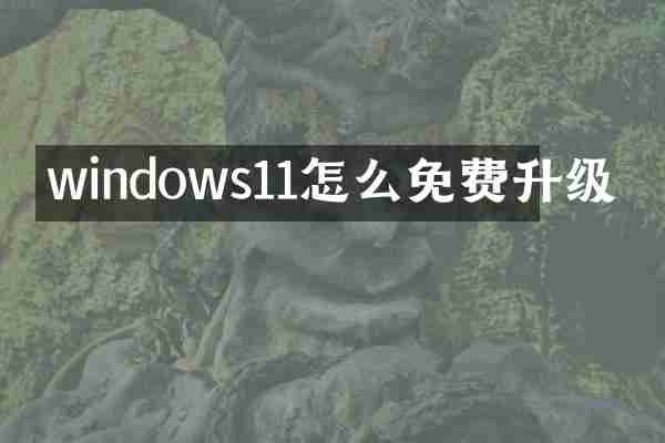 windows11怎么免费升级
