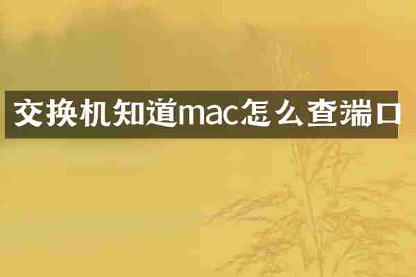 交换机知道mac怎么查端口